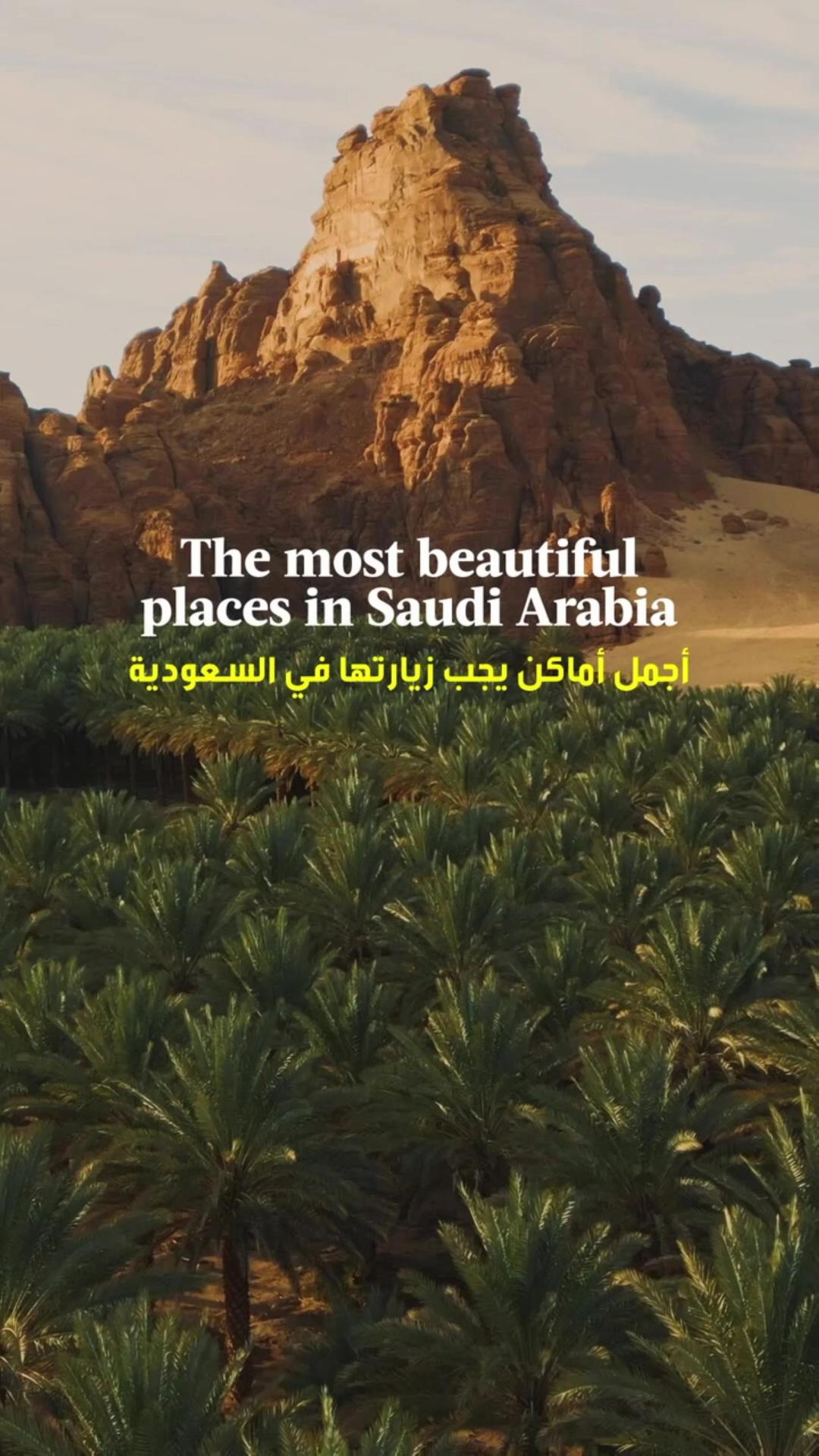 https://webcmsar.listmag.com/listmagar/uploads/images/2025/05/08/2177981.webp